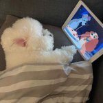 오늘 <b>스카</b>갈까