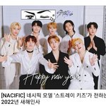 [스키즈] 네시픽 스키즈 새해인사