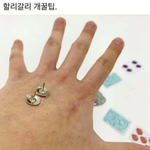 국가유공자는 1<b>지망</b> 백포붙어?? 고등학교
