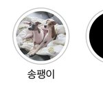 [군대] 정구기 스토리 <b>하라</b>에 추가했네ㅋㅋㅋ