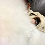 [EXO] 오세훈 <b>인수</b>타 삐삐