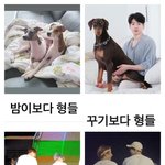 [방탄소년단] 주인닮는다더니ㅋㅋㅋㅋㅋㅋㅋㅋㅋㅋ