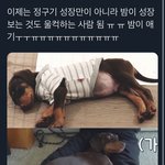 [군대] 밤이 <b>아기</b> 사진 <b>때</b> 너무 귀여워 ㅠ