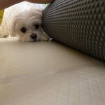 우리 <b>햇님</b>이도 봐봐유