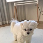 [드루와] <b>논술</b> 반수 추천좀