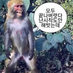 03들 ㅃ 이제부터 판은
