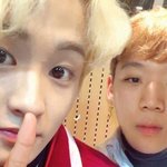 우리집 <b>개냥</b>이 둘 다 보고가