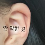 나 많이 ㅈ됨 살려줘 진짜 제발