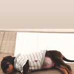 [모두드루와] <b>정국</b>과 밤이