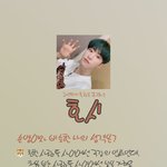 [세븐틴] 너네 셉비티아이 해봤어??