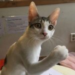 [댓글부탁해] <b>고</b>3 반배정 <b>밍</b>하면 어떡함…?