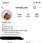 [드루와] 이 인스타 개귀여움....