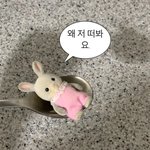 [19] 남친있는 애들아 궁금한거 있어..