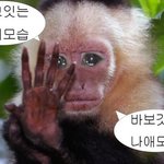 [NCT칠프] 하 진짜 ㅈㄴ 쪼<b>갬</b>