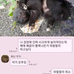 코로나 어차피 <b>단순</b> 감기수준 아니냐?