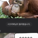 [NCT칠프] 붜야 누구야 ㅋㅋㅋㅋ