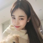 [모두드루와] 남양주 귀염둥이 혼혈 말티푸 <b>프림</b>이입니다