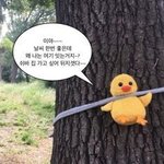 [댓글부탁해] 뭘해도 <b>초딩</b> 같으면 어떡해