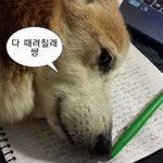 [댓글부탁해] 나 쓴소리 한번만 해줘