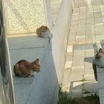 [댓글부탁해] <b>Estp</b>한테 궁금한거 있닝?_?