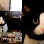 얘들아 이렇게 생각하면 mbti 머같음