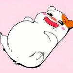 [댓글부탁해] 난 개관종이라 한번쯤 장원영처럼 살아보고싶음