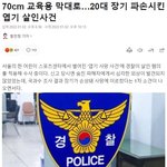 +추가) 70cm <b>막대</b>로 20대 장기 파손..엽기 살인사건의 전말