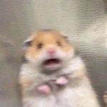 혹시 지금 시즈니있어?