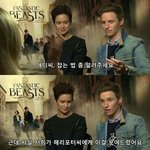 후플푸프 선배랑 기싸움하는 해리<b>포터</b>