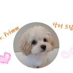 [이것좀봐줘] 처음으로만들어본 남친구저의