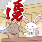 [드루와] 오늘 점심 추반