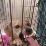 [댓글부탁해] 남자애가 나 보고 <b>듬직</b>해보인다는데