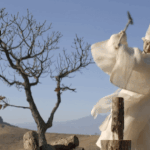 노력하면 안 되는거 없다는걸 보여준 <b>이방원</b>