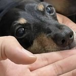 [군대] 밤이 귀<b>엽당</b>