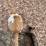 [이것좀봐줘] 애기들 오랜만에 봄
