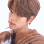 [스키즈] ㄹㅇ <b>강아지인</b>줄