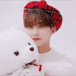 <b>정한</b>때문에 눈물날거같아