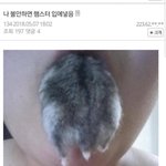 <b>이</b>새<b>키</b> 머임?