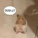 03들 중에 알바하는 사람들만 들어와봐
