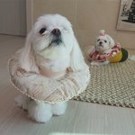 [TXT] 오늘 <b>투두</b> 범규