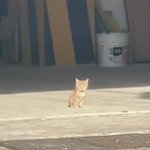 <b>찐따</b>를 결정하는 가장 큰부분