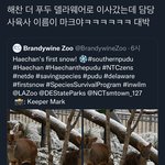 [NCT칠프] 너네 이거 봤어?ㅋ