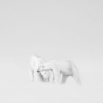 단 한 컷에 그대로 담아낸 <b>대자연</b>