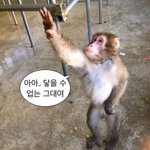 아 <b>막판</b>에 바꾸는 애들 ㄹㅇ