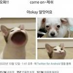 이 짤 <b>원본</b> 잇는 사람...