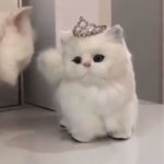 [댓글부탁해] 너흰 이 <b>질문</b> 뭐라고 답함?