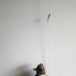 얼룩이 <b>키카</b> 커요 ㅋ