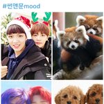 [NCT칠프] 귀여운거 마니 만들어야지