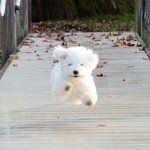 구의 <b>증명</b> 다봣다