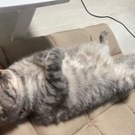 아침 5시~저녁 10시까지 <b>스카</b> 에바?